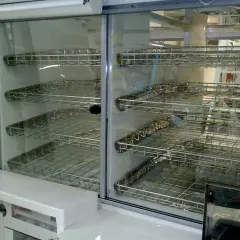catering van